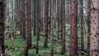pexels-damir-20047426.webp