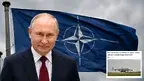 putinnato.webp