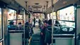 pexels-folken-shinoda-689621046-28757904.webp