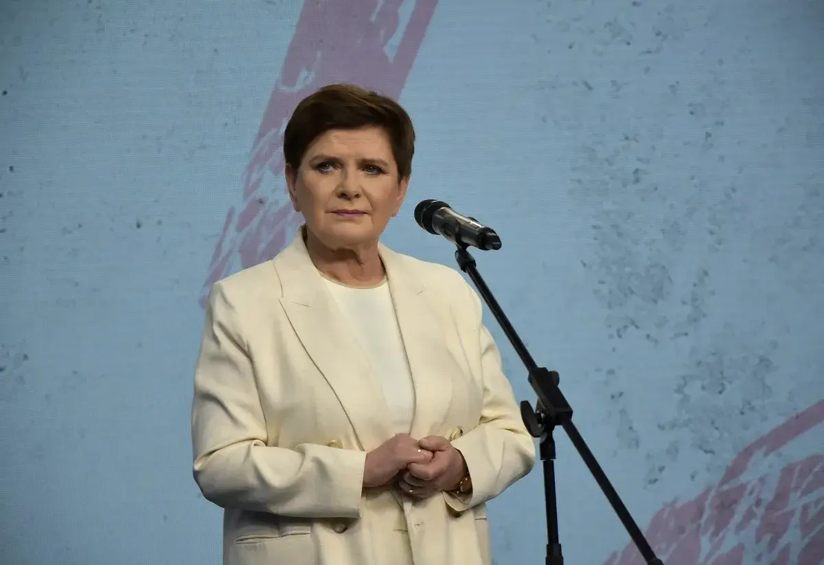 "Zamiast histerii, należy...". Szydło jasno o AfD